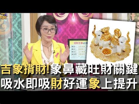 大象代表什麼意思|大象為中國傳統吉祥物 寓意吉祥太平（圖）